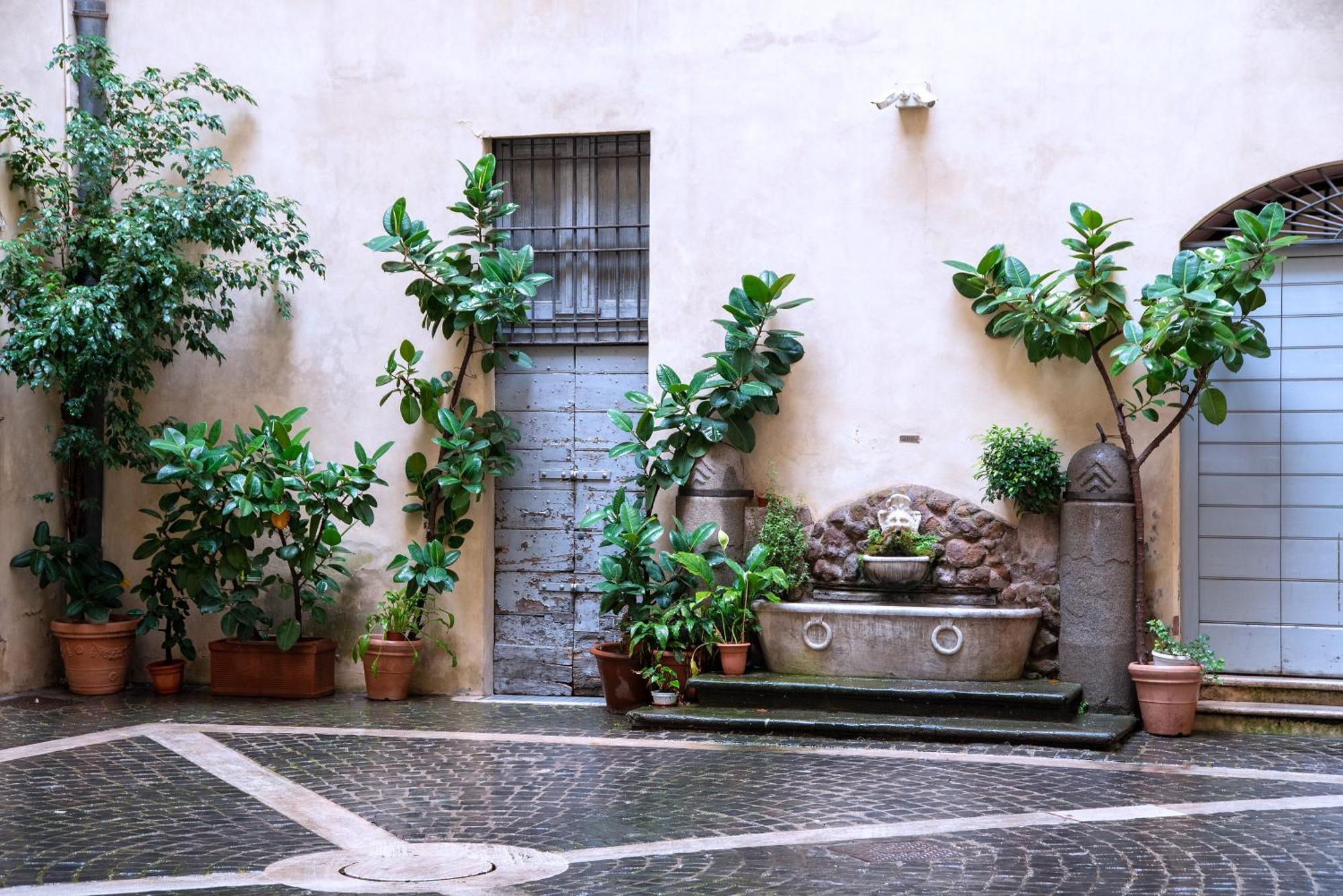 Il Sogno Delle Tartarughe Apartamento Roma